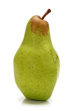 armut beyaz arkaplanda