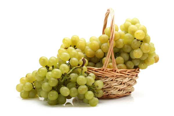 Grüne Trauben auf weißem Hintergrund — Stockfoto