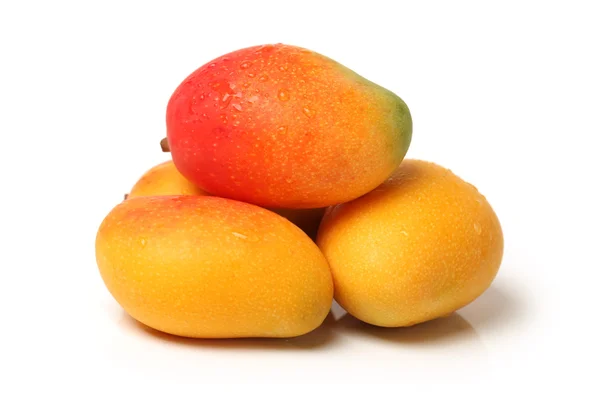 Mangos sobre fondo blanco — Foto de Stock