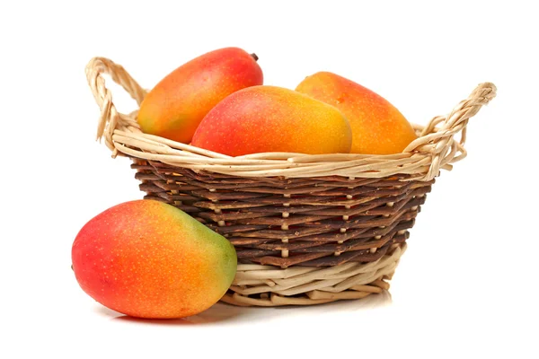 Mangos auf weißem Hintergrund — Stockfoto