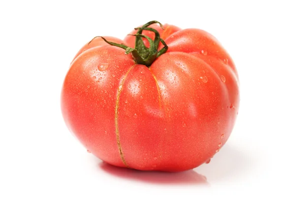 Frische Tomate isoliert auf weißem Hintergrund — Stockfoto