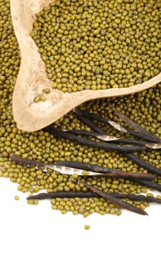 Beyaz arka planda mung fasulyesi
