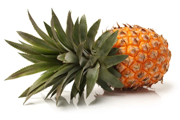 Ananas su sfondo bianco — Foto Stock