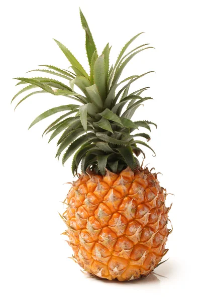 Ananas på vit bakgrund — Stockfoto