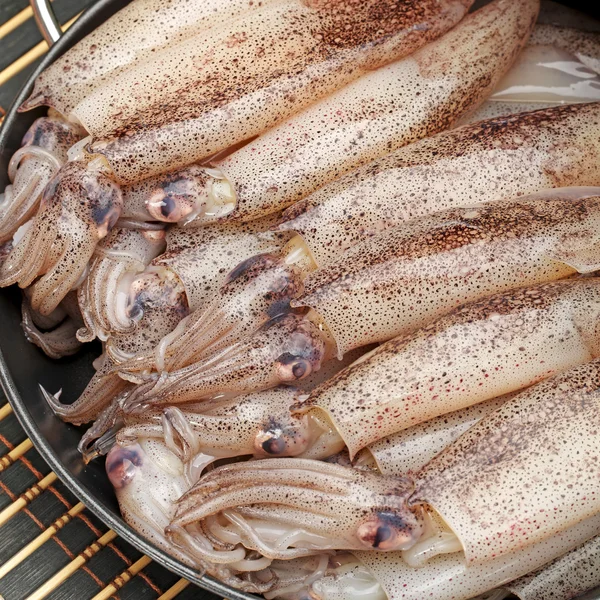 Frisch gefangener Tintenfisch — Stockfoto