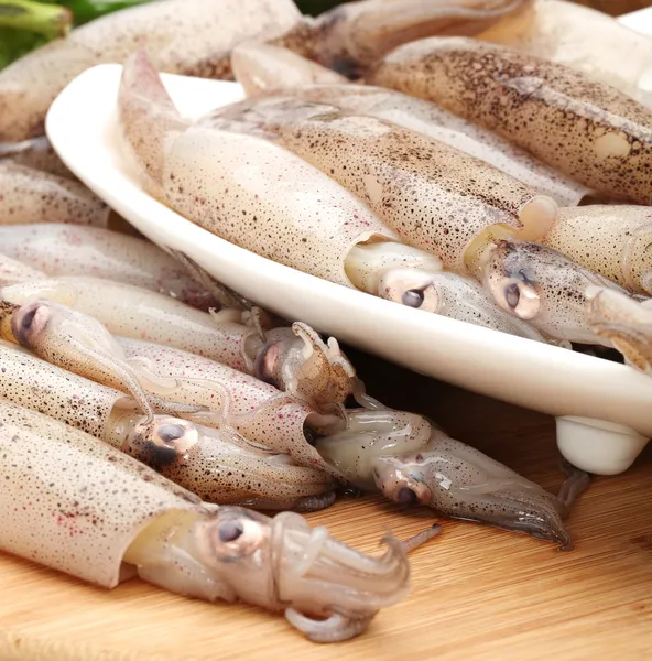 Freshly caught squid — Stock Photo, Image