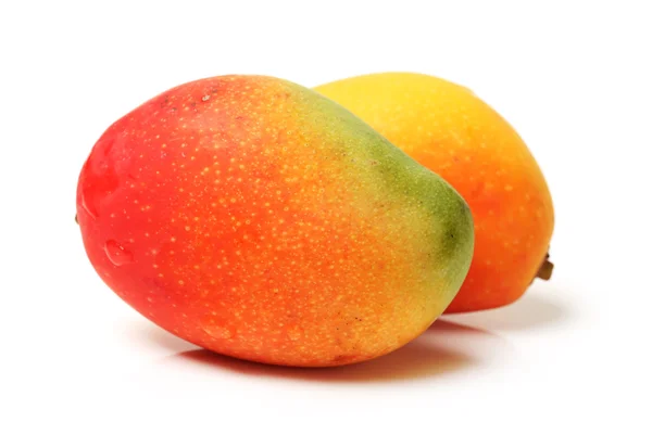 Mango på vit bakgrund — Stockfoto