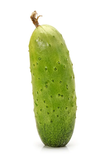 Pepino verde sobre el fondo blanco — Foto de Stock