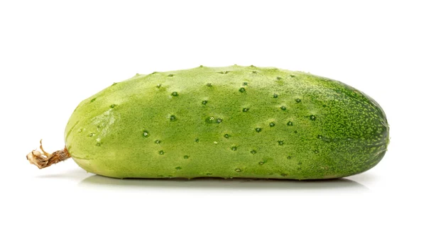 Pepino verde sobre el fondo blanco — Foto de Stock