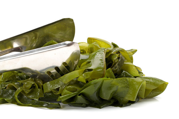 Seaweed on white background