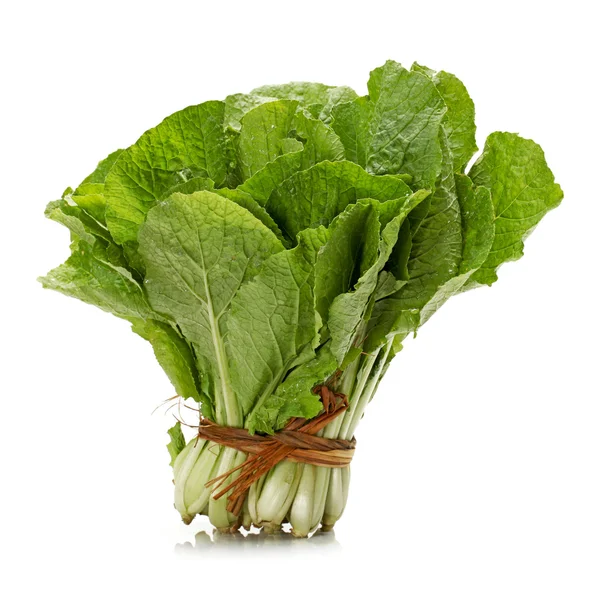 Small Chinese cabbage on white background — Stock Photo, Image