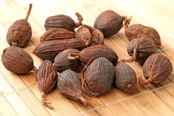 Cardamomo negro — Foto de Stock