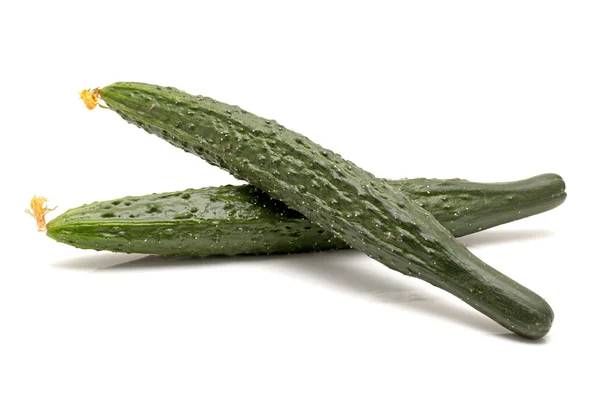 Green cucumber on the white background — Stock Photo, Image