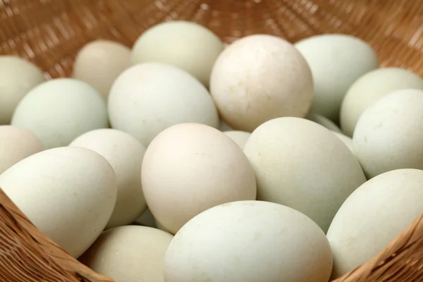 Egg in a basket on white background — Stock Photo, Image