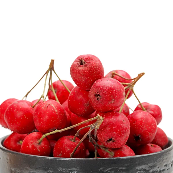 Hawthorn on white background — Stock Photo, Image