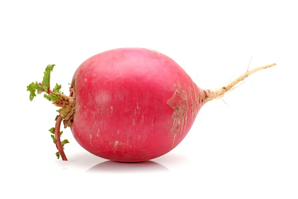 Fresh radishes isolated on white — Stock Photo, Image