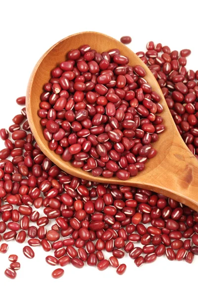 Red beans isolated on white background — Stock Photo, Image