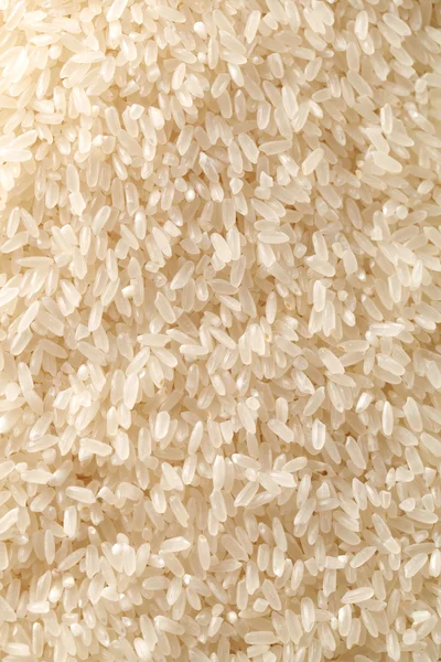 Fundo de arroz branco — Fotografia de Stock