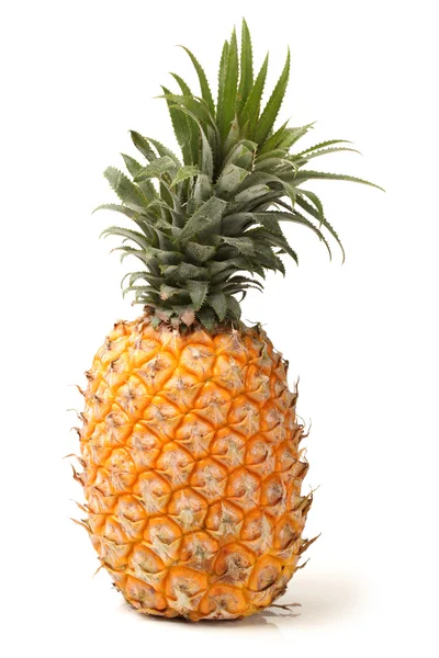 Ananas på vit bakgrund — Stockfoto