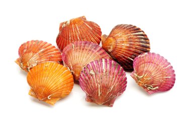 beyaz zemin üzerinde ham tarak