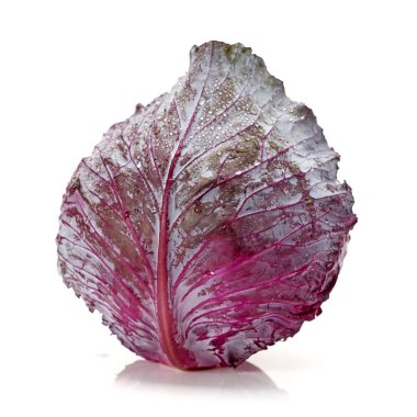 Beyaz arka planda taze kırmızı lahana