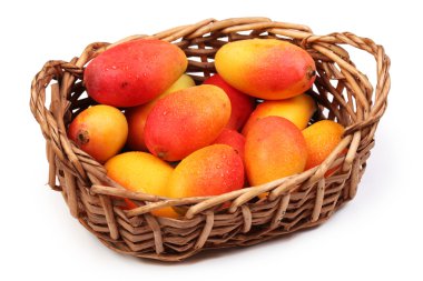 mango