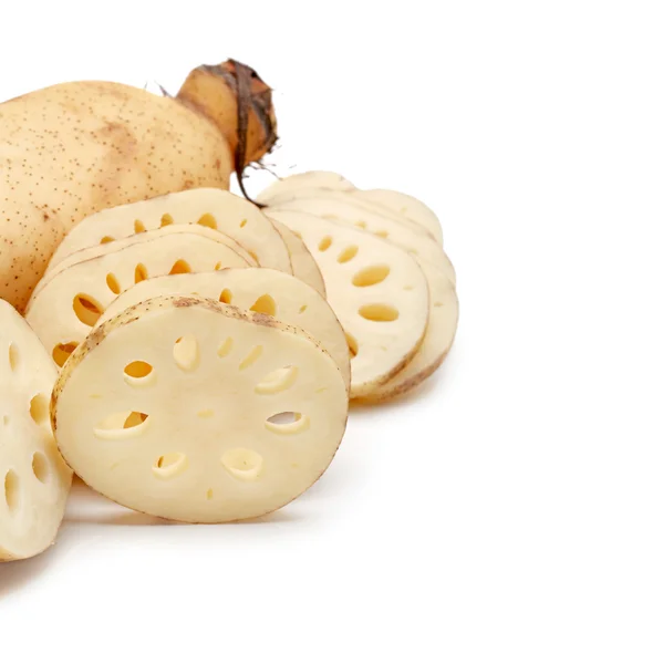 Lotus root on the white background — Stock Photo, Image