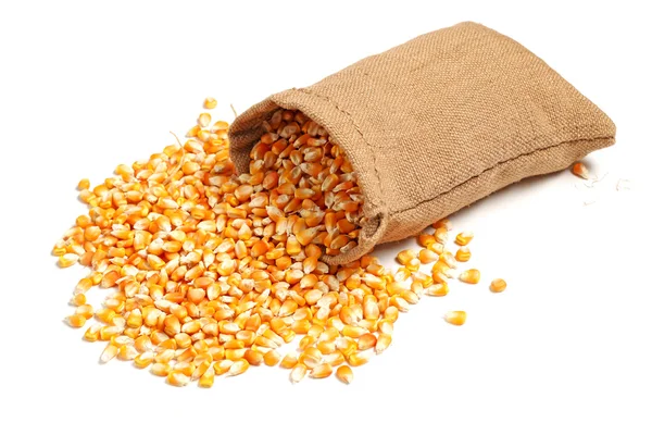 Closeup zrna kukuřice na bílém pozadí — Stock fotografie