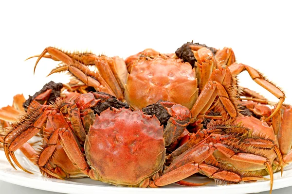 Crabe cuit à la vapeur sur fond blanc — Photo