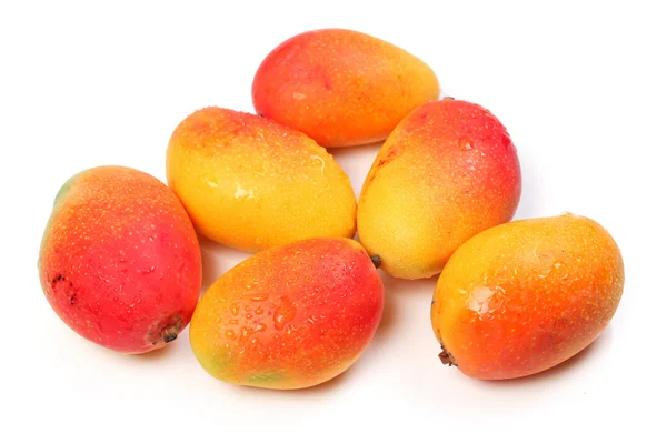Mangos —  Fotos de Stock
