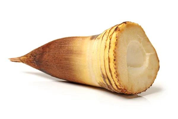 Bambu atirar no fundo branco — Fotografia de Stock