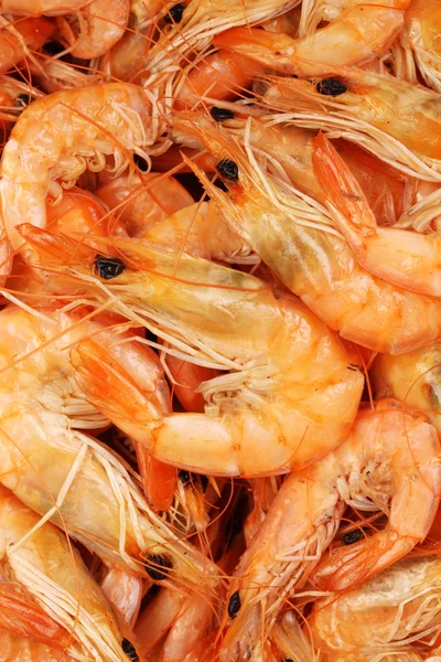 Fresh shrimp — Stock Photo, Image