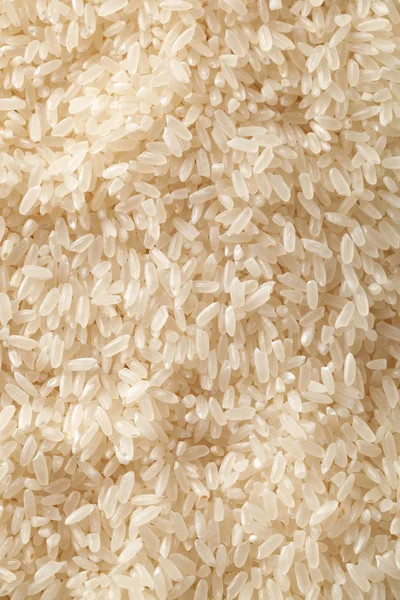 White rice background — Stock Photo, Image