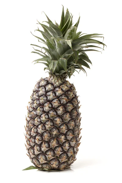 Ananas op witte achtergrond — Stockfoto