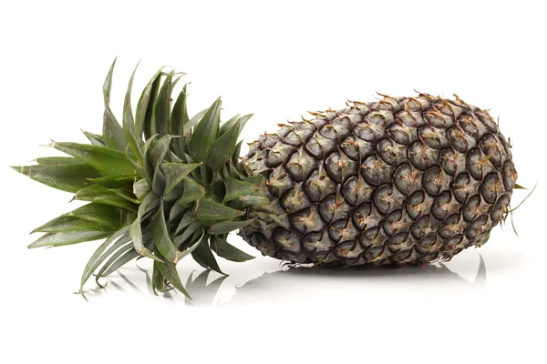 Ananas auf weißem Hintergrund — Stockfoto