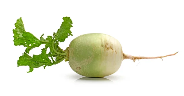 Turnip on white background — Stock Photo, Image