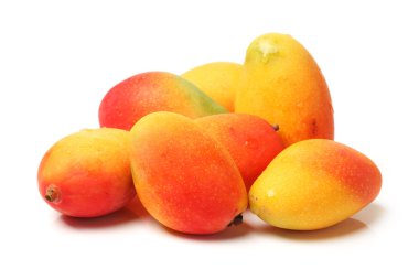 Mango beyaz zemin üzerine
