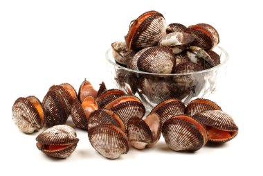 beyaz zemin üzerine tarak