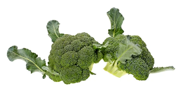 Broccoli geïsoleerd op witte achtergrond — Stockfoto