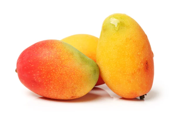 Mango's op witte achtergrond — Stockfoto