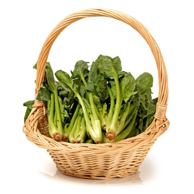 Ispanak üzerinde beyaz arka plan