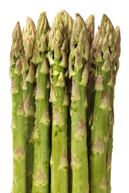 beyaz arkaplanda kuşkonmaz