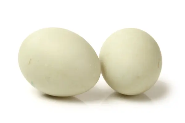 Egg collection — Stock Photo, Image