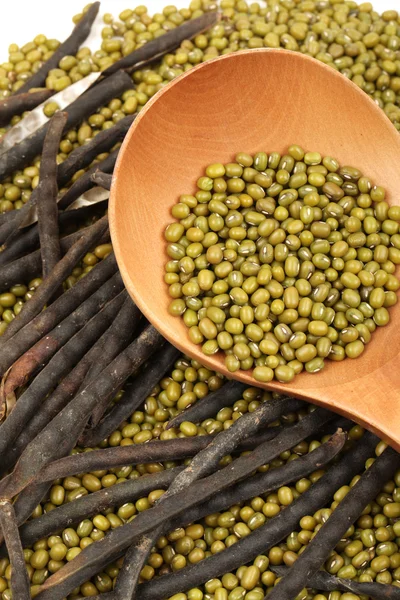 Frijoles mung sobre fondo blanco — Foto de Stock