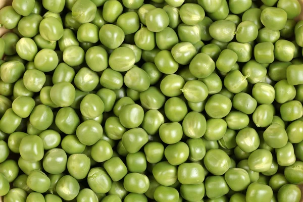 Légumes de pois mûrs — Photo