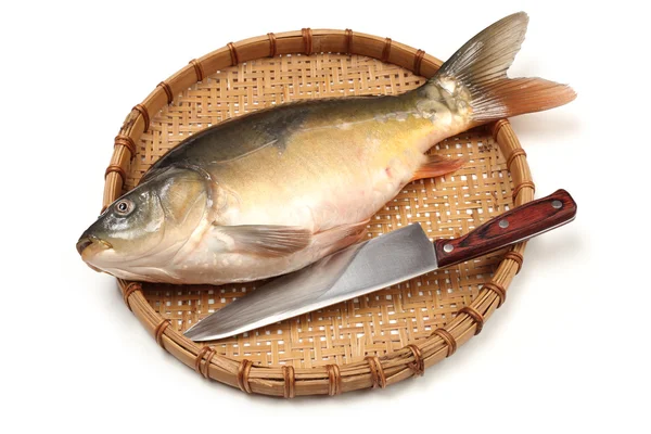 Rohe Fischkarpfen auf weißem Hintergrund — Stockfoto