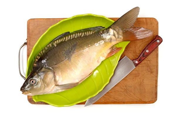 Carpa di pesce crudo su sfondo bianco — Foto Stock