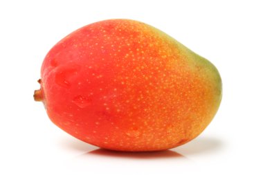 Mango beyaz zemin üzerine
