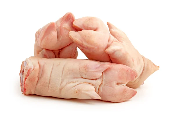 Fresh pig trotter on white background — Stock Photo, Image