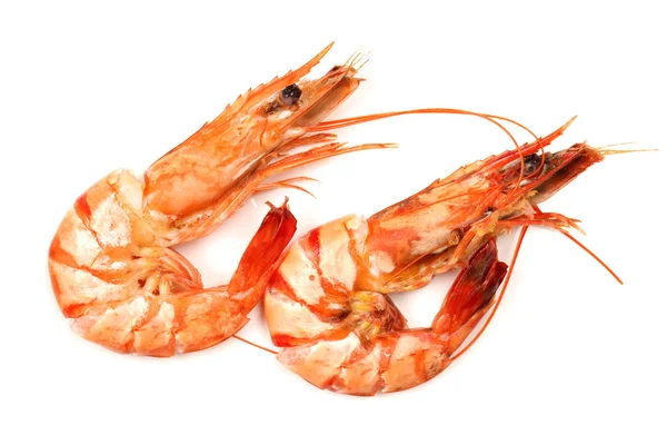 Fresh shrimp isolated on a white background — Stock Photo, Image